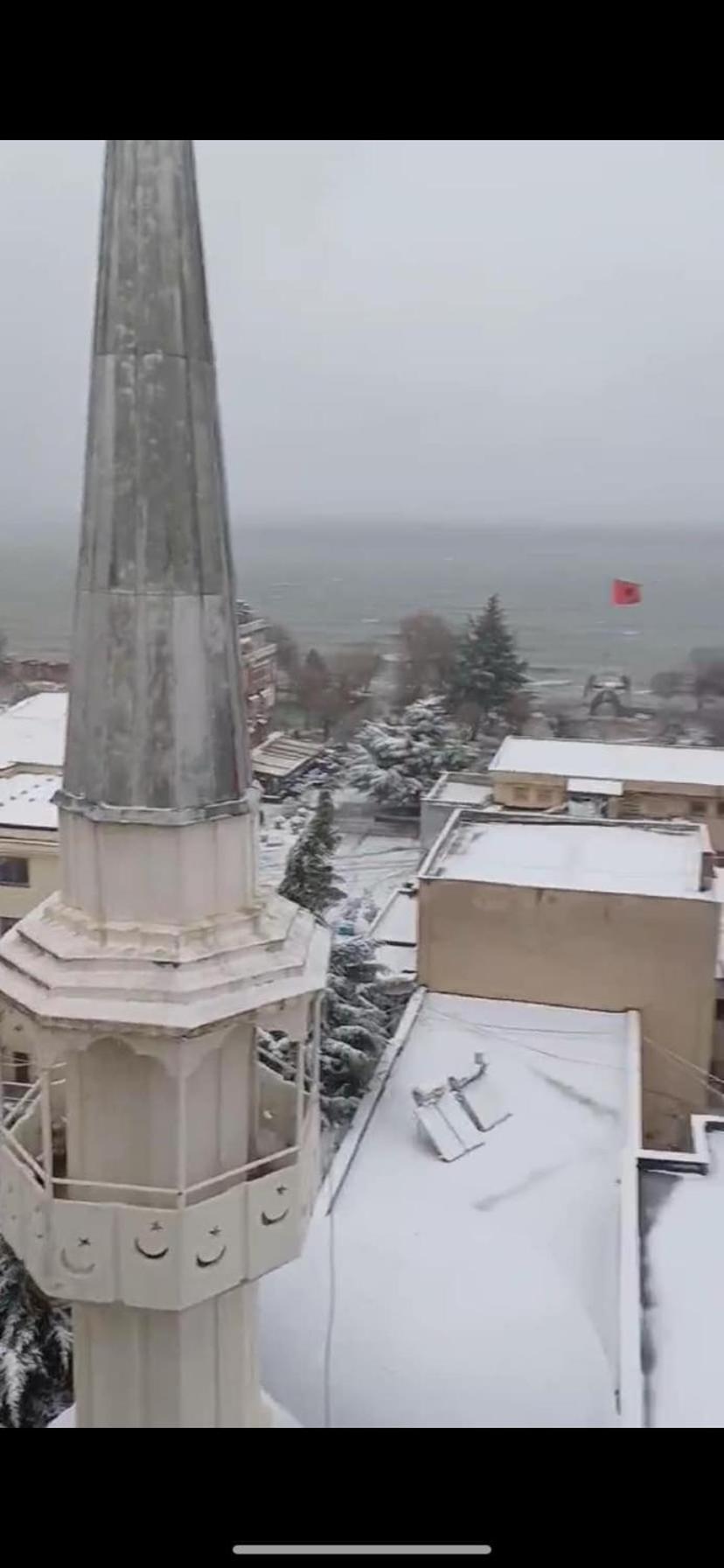Lilly * Pogradec